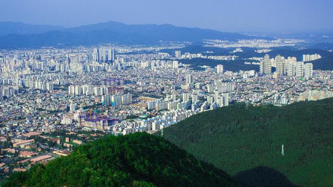 Kepanikan melanda Korea Selatan ketika wabah virus corona mulai masuk Daegu, kota terbesar keempat di Negeri Ginseng yang dikelilingi bukit.