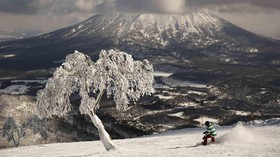 Jepang dan Turki Masuk Rekomendasi Wisata Tahun 2022 NatGeo