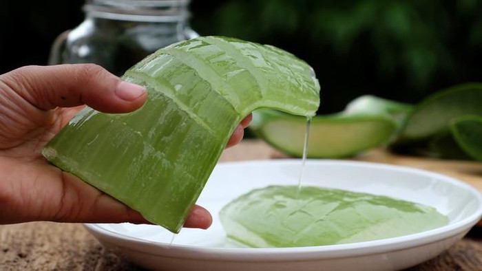 Healthy Aloe vera juice in a mason jar glass. Top view scene on a wooden paddle board.