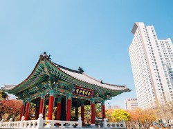 Mengenal Daegu, Kota Industri dan Wisata yang Terserang Corona