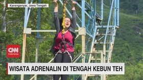 VIDEO: Wisata Adrenalin di Tengah Kebun Teh