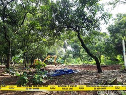 Bapeten Duga 2 Warga Tangsel Kena Radioaktif karena Makan Buah yang Terpapar