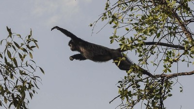 Rus porno oqituvchi Ayol talvasaga tushadi