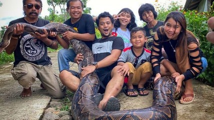 Detik Network