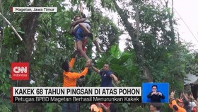VIDEO: Kakek 68 Tahun Pingsan di Atas Pohon