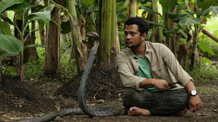 Panji Petualang kembali beraksi dengan ular raksasa. Kali ini, ia mencoba bermain dengan ular piton berukuran delapan meter milik temannya.