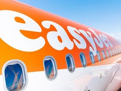 Pesawat Terlambat Terbang 5 Jam gegara Pilot Digigit Nyamuk
