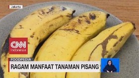 VIDEO: Manfaat Setiap Bagian Tanaman Pisang