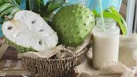 5 Manfaat Jus Sirsak untuk Kesehatan