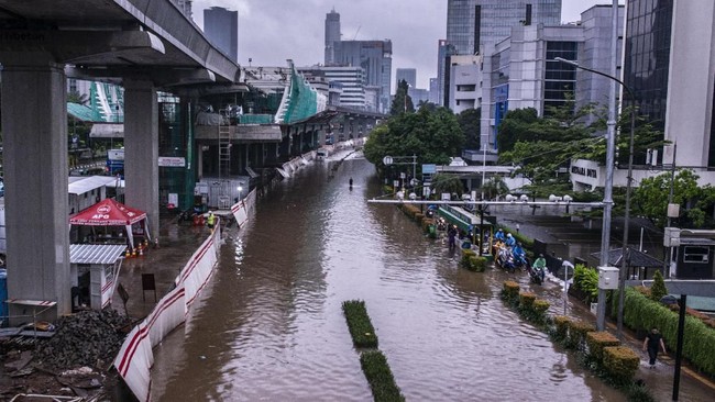 Selain faktor Anies yang tak berani menegakkan aturan soal properti yang melanggar tata ruang, Walhi juga menyebut minimnya RTH jadi penyebab banjir Jakarta.