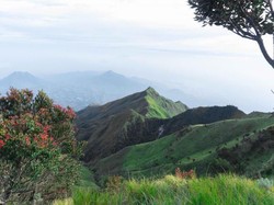 Jalur Pendakian Gunung Merbabu Ditutup karena Virus Corona