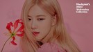 6 Potret Manis BLACKPINK di Album Foto '2020 Welcoming Collection' BLACKPINK baru saja merilis album foto bertajuk 2020 Welcoming Collection pada Rabu (26/2).