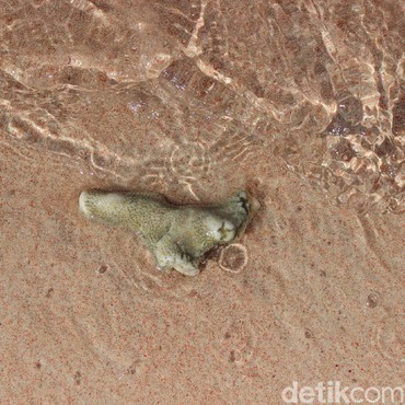 6 Pantai Paling Cantik di Dunia, Ada dari Indonesia