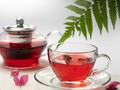 5 Manfaat Rosella: Kontrol Kolesterol dan Berat Badan