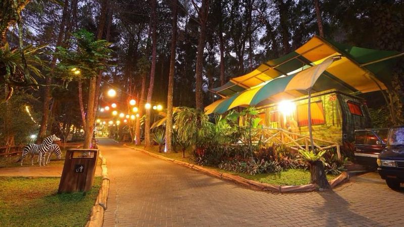 Berlibur ke Puncak, Bogor menjadi pilihan destinasi yang asyik bagi warga Jabodetabek dan sekitarnya.