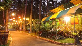 Liburan Unik, Menginap di Mobil Caravan Tengah Hutan