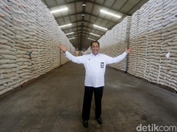 Stok Beras Bulog hingga Agustus Capai 1,1 Juta Ton, Aman Nggak?