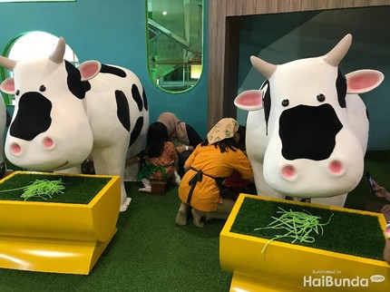 Serunya Playground Peternakan, Ajak Anak Bermain dan Eksplorasi lingkungan