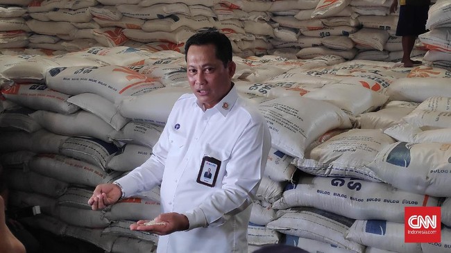 Bulog menyarankan impor beras segera dilakukan mengingat stok beras cadangan pemerintah (CBP) saat ini hanya separuh dari target 1,2 juta ton.
