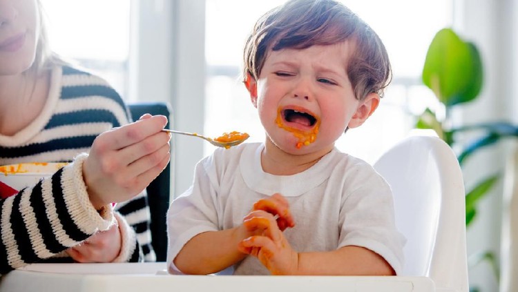 Memasuki usia satu tahun, anak biasanya mulai susah makan. Ikuti tips dan resep untuk anak usia satu tahun yang susah makan berikut ini, Bun.