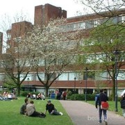 Pilih kemeja atau t-shirt untuk ngampus?