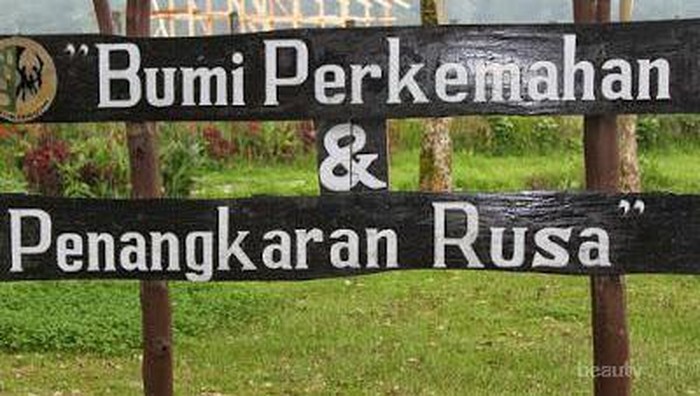 Mengintip Serunya Berkemah di Bumi Perkemahan Ranca Upas
