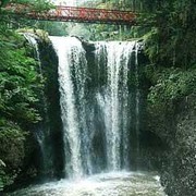 Serunya Menjelajahi Pesona Taman Hutan Raya Djuanda, Bandung