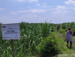 KPK Sita 4 Sawah Terkait Kasus TPPU Mantan Bupati Mojokerto
