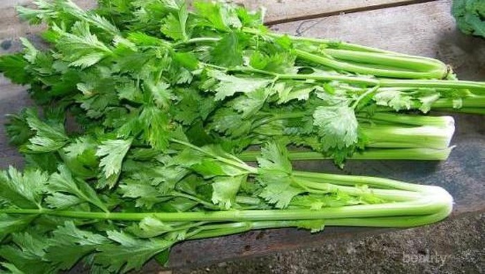 Manfaat Kesehatan dan Kecantikan Seledri