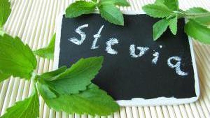 Stevia, Pengganti Gula Biasa Tanpa Kalori