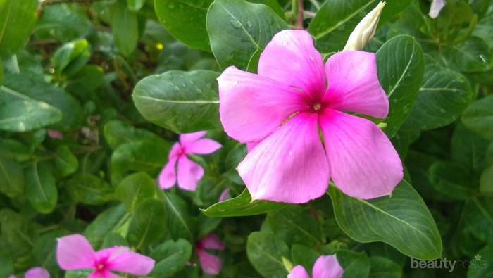 [FORUM] Kenapa ikhlas itu sulit?