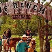 Serunya Belajar Berkuda di De'Ranch, Bandung