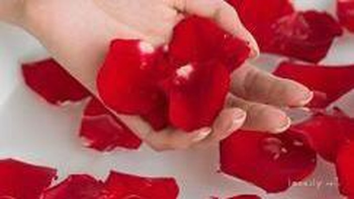 5 Bunga Cantik yang Terbukti Berkhasiat untuk Kulit