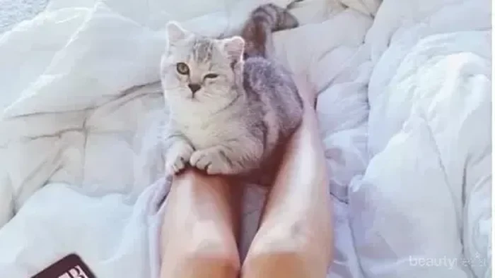 Hindari 7 Pola Sarapan Ini untuk Hidup Lebih Sehat!