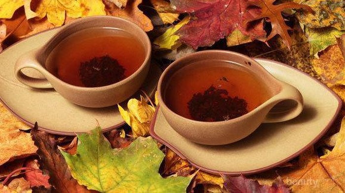 Mengenal Jenis Teh dan Manfaatnya