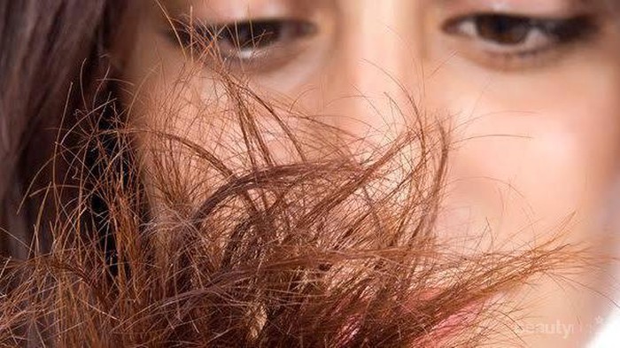 [FORUM] Semua solusi rambut kering dan rusak ada di sini