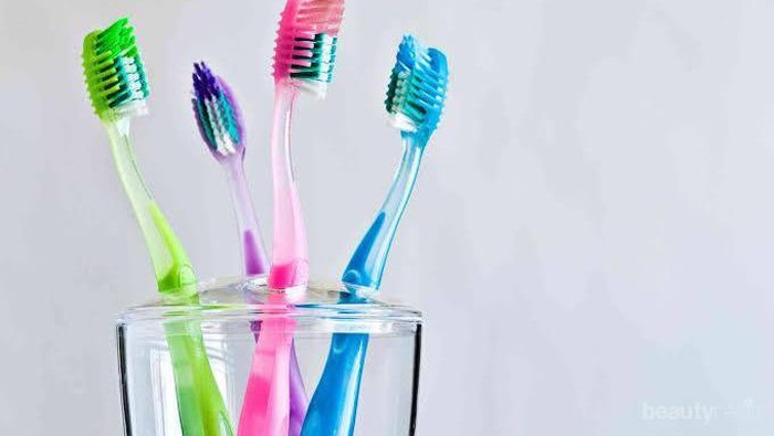 [FORUM] Sikat gigi ku lembut tapi enggak bersih di mulut.