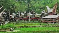 Jelajahi Kebudayaan Tana Toraja Yang Lestari Hingga Kini