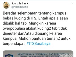 Viral Surat Edaran Area Bebas Kucing di ITS Surabaya