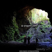 Menyaksikan Cahaya Surga dan Hutan Purba di Gua Jomblang