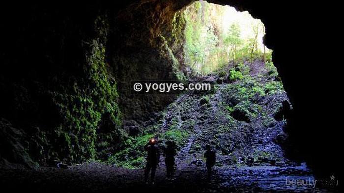 Menyaksikan Cahaya Surga dan Hutan Purba di Gua Jomblang
