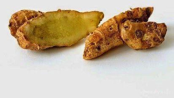 Ini 4 Manfaat Kencur Buat Wanita, Sudah Tahu Ladies?