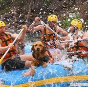 7 Lokasi Rafting Paling Recomended di Indonesia
