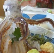 [FORUM] Makanan teraneh apasih yang kamu pernah cobain?