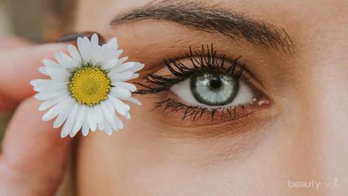 Ini 4 Cara Menghilangkan Kerutan Dibawah Mata dengan Bahan Alami