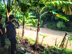 Warga Ciamis Hilang Diduga Terbawa Arus Sungai Usai Menyadap Nira