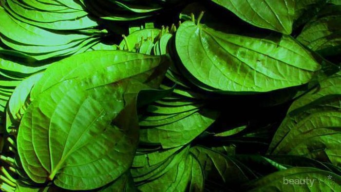 Usir Bau Tak Sedap pada Miss V dengan Bahan Alami