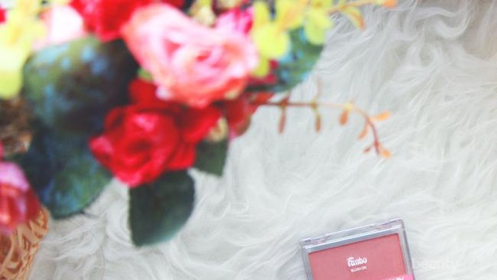 Review Ini akan Membuatmu Berpikir Sebelum Membeli Fanbo Microshimmer Blush On
