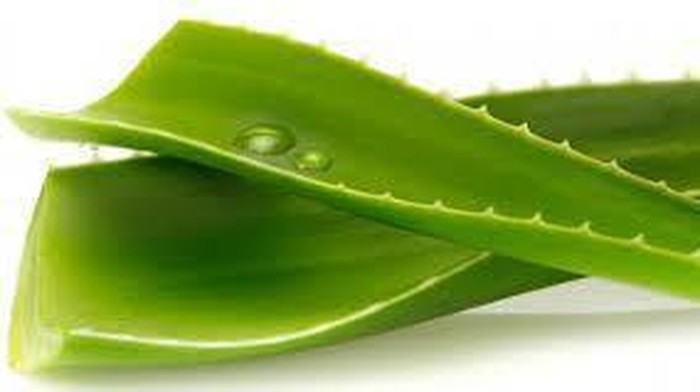 Wajah Bebas Bekas Luka dengan Cara Alami