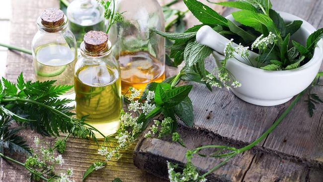 Daun untuk mengobat asma bisa digunakan berdampingan dengan obat-obatan medis.